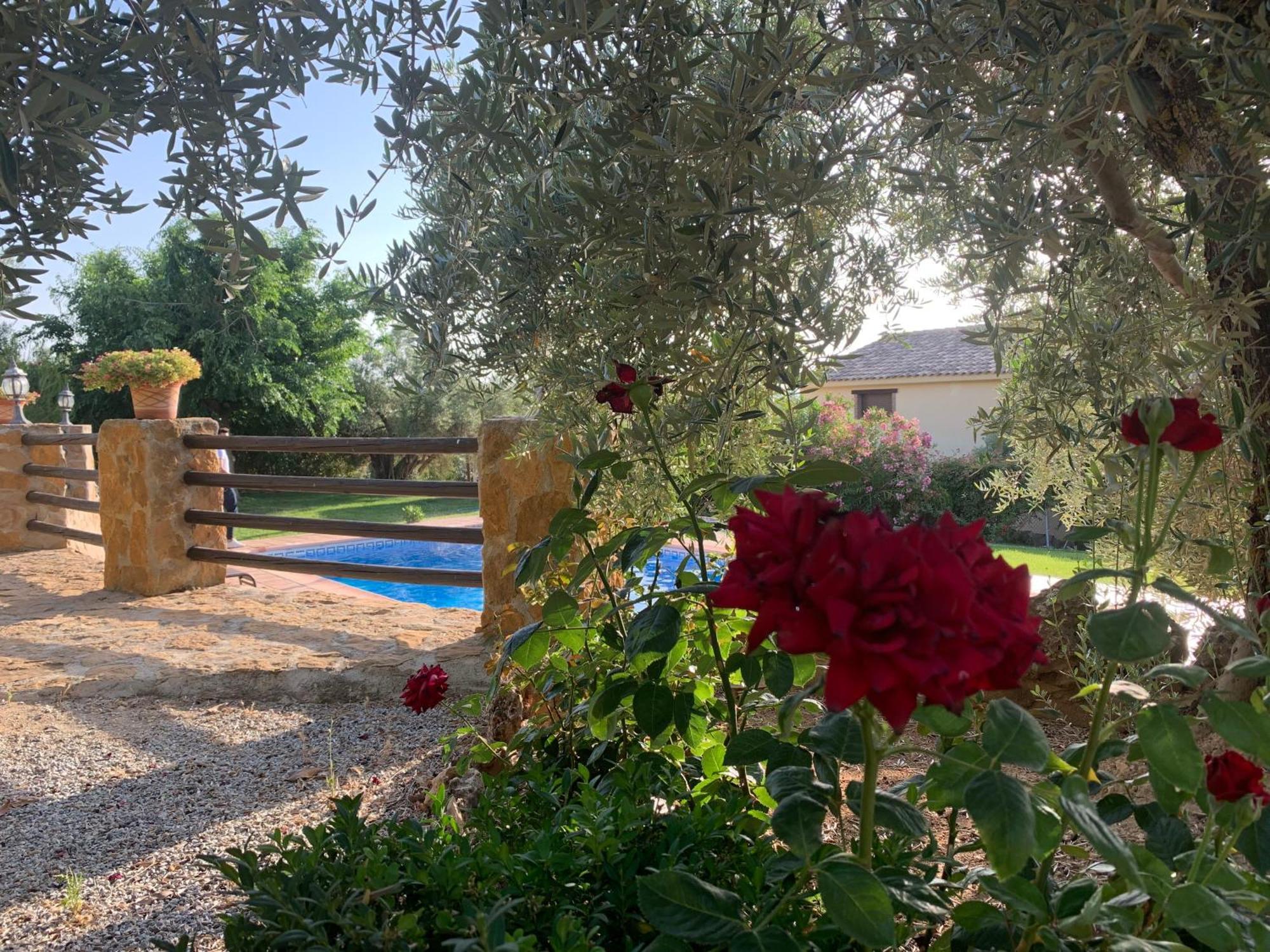Lenta Suites Pozo Alcón Dış mekan fotoğraf